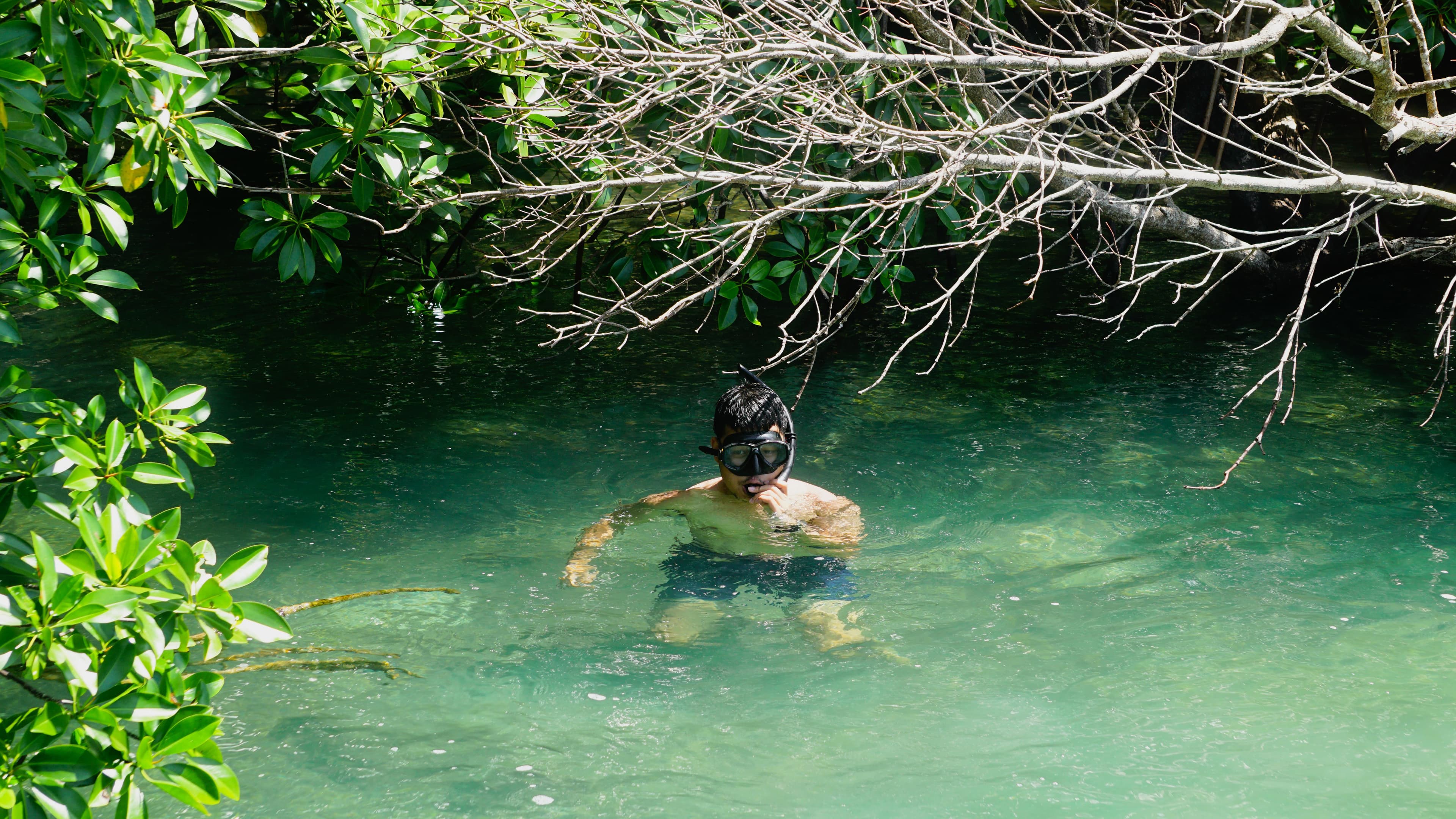 Redirection happened, and it led him straight to mangroves and seagrasses